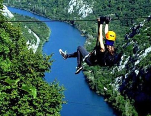 ZIPLINE OMIS